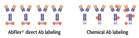 AbFlex directed labeling versus chemical labeling