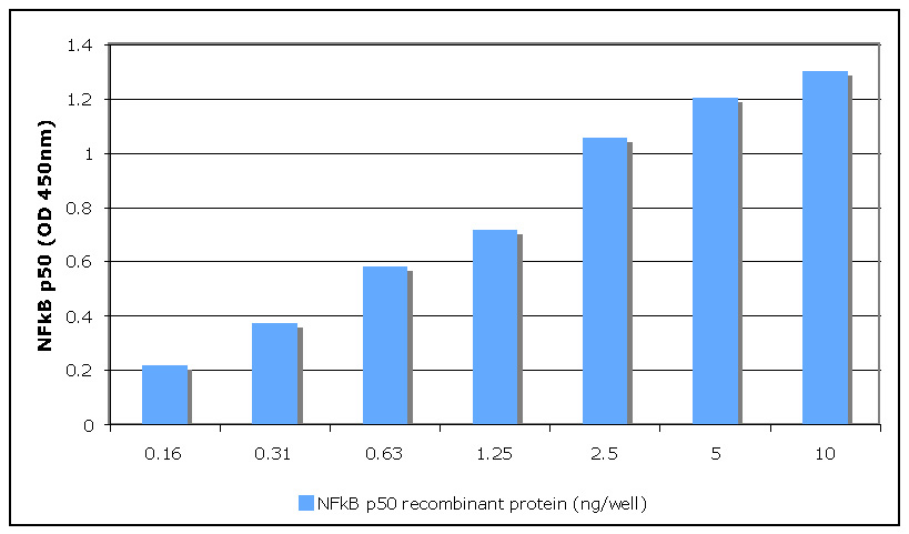 TransAM<sup>®</sup> standard curve using Recombinant NFκB p50 protein.