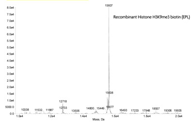 ESI-TOF mass spectrometry of Recominant Histone H3K9me3 biotin (EPL)