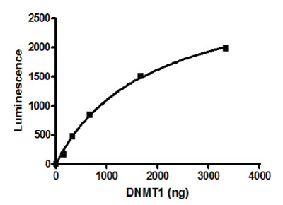 DNMT1 activity assay