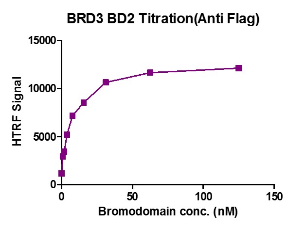 BRD3 (306-416) activity assay