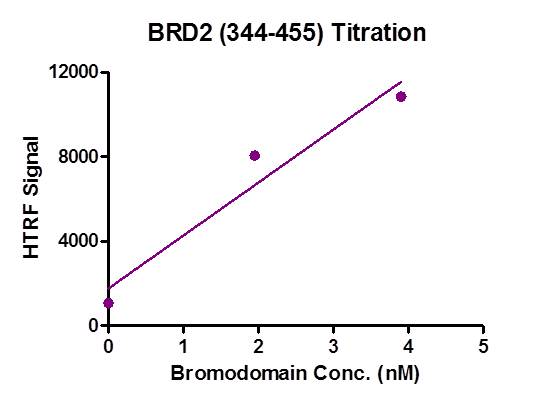 BRD2 (344-455) activity assay
