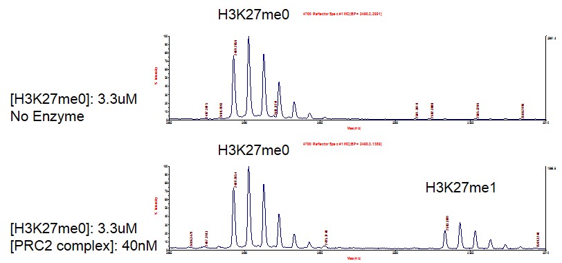 PRC2 complex activity assay