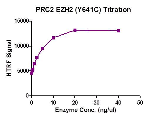 PRC2 EZH2 (Y641C) complex activity assay