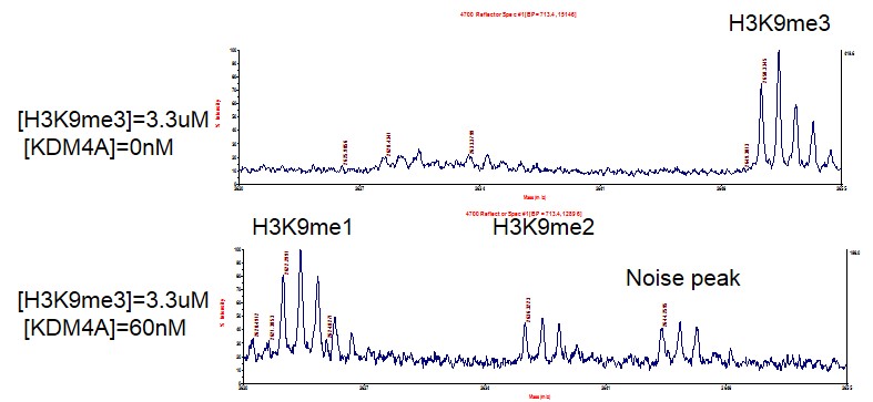 JMJD2A / KDM4A activity assay