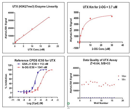 UTX / KDM6A AlphaLISA assay