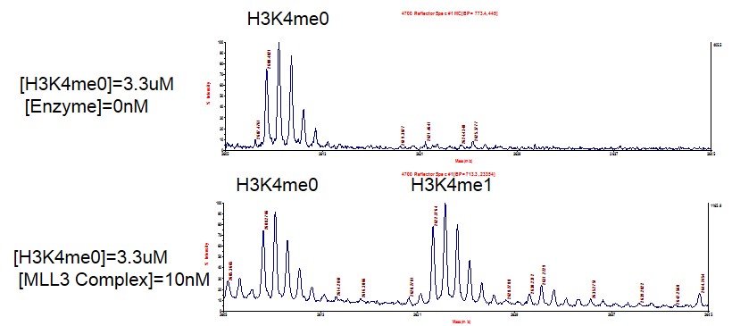 Recombinant KMT2C (MLL3) complex activity assay