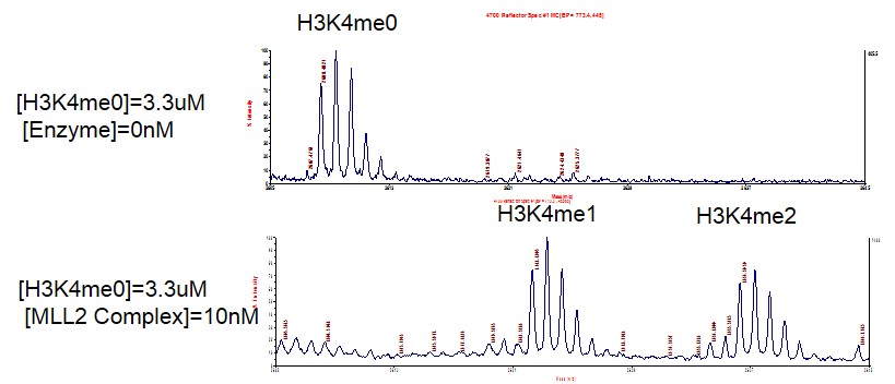 Recombinant KMT2D (MLL2) complex MALDI-TOF activity assay