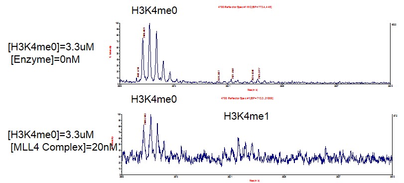 Recombinant KMT2B (MLL4) complex MALDI-TOF activity assay