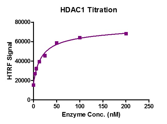 Recombinant HDAC1 protein activity assay