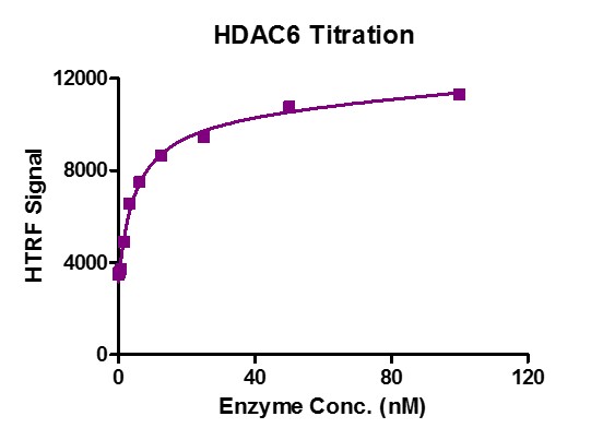 HTRF assay for HDAC6 activity