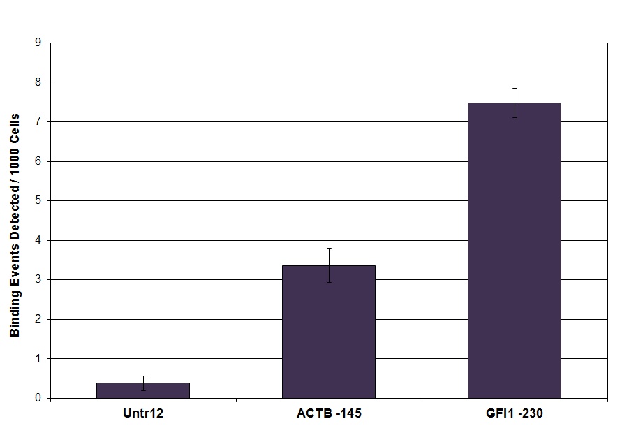 LSD1 / KDM1A antibody (pAb) tested by ChIP.