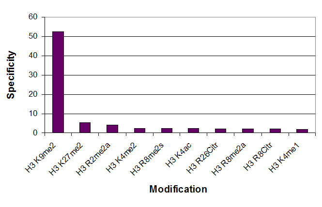 Histone H3 dimethyl Lys4 antibody specificity tested by peptide array analysis.