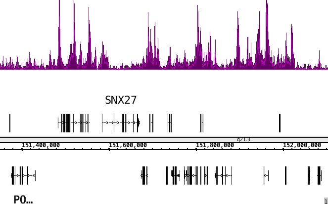 Histone H3K4me1 antibody (mAb) tested by ChIP-Seq.