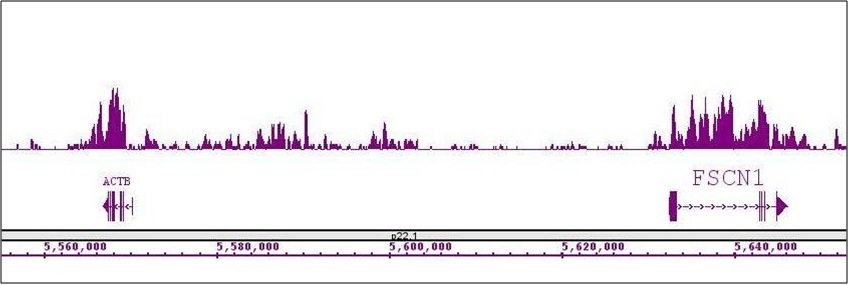 Histone H4K20me1 antibody (mAb) tested by ChIP-Seq.