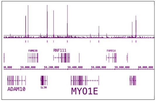 RNA pol II CTD phospho Ser5 antibody (pAb) tested by ChIP-Seq.
