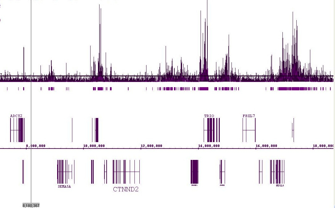 Histone H3K18ac antibody (pAb) tested by ChIP-chip.