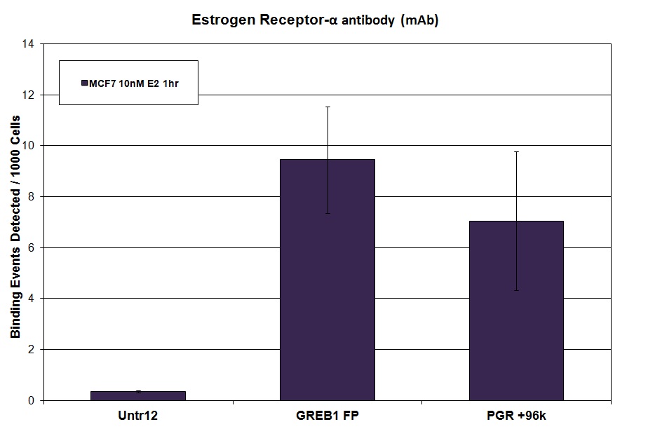 Estrogen Receptor-α antibody (mAb) tested by ChIP.