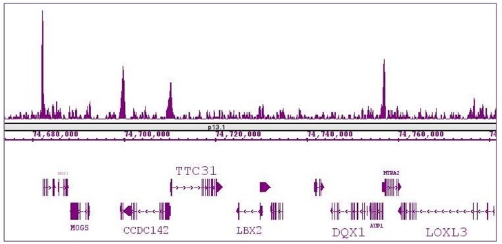 KLF5 antibody (pAb) tested by ChIP-Seq.