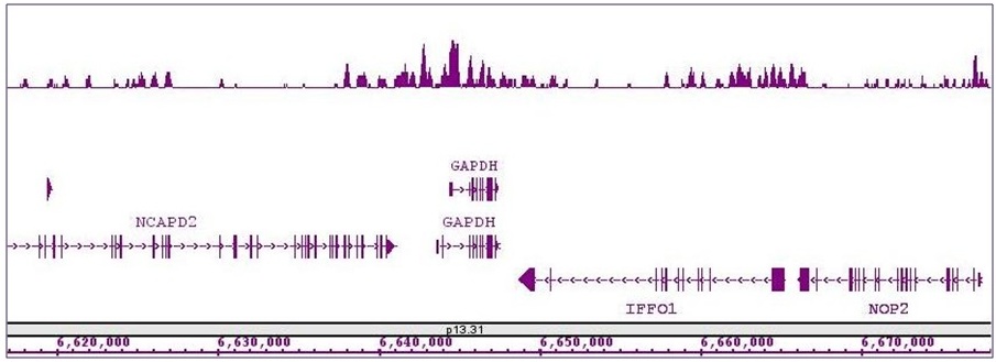 Histone H4K8ac antibody (pAb) tested by ChIP-Seq.