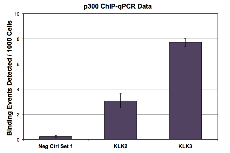 p300 antibody (mAb) tested by ChIP.