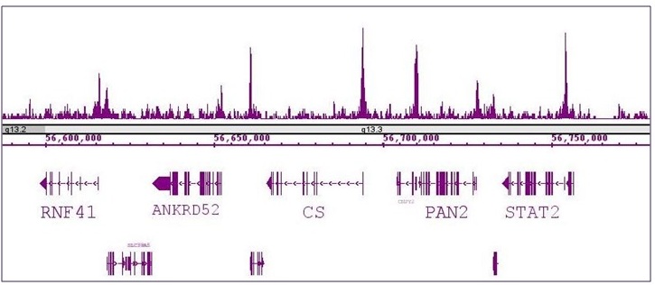 RBBP5 antibody (pAb) tested by ChIP-Seq.