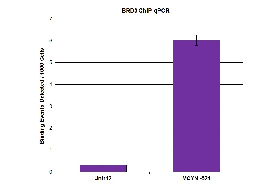 BRD3 antibody (pAb) tested by ChIP.