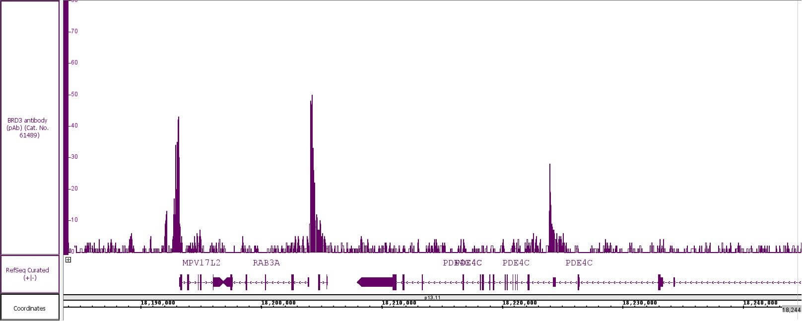 BRD3 antibody (pAb) tested by CUT&RUN