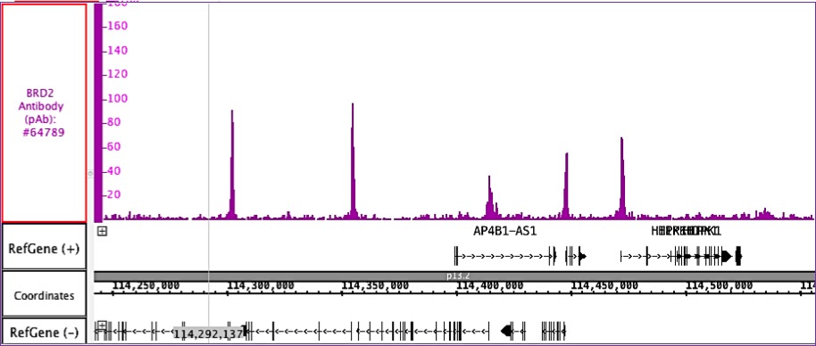 BRD2 antibody (pAb) tested by ChIP-Seq.
