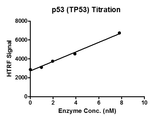 HTRF assay for p53 (TP53) activity