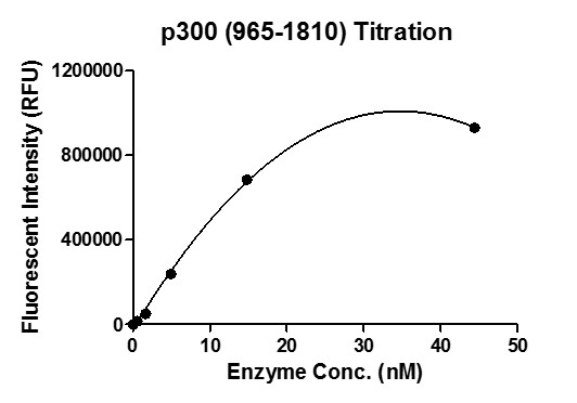 HAT Assay for recombinant p300 (965-1810) protein activity