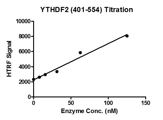 HTRF for YTHDF2 (401-554) activity
