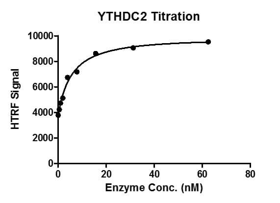Recombinant YTHDC2 binding assay