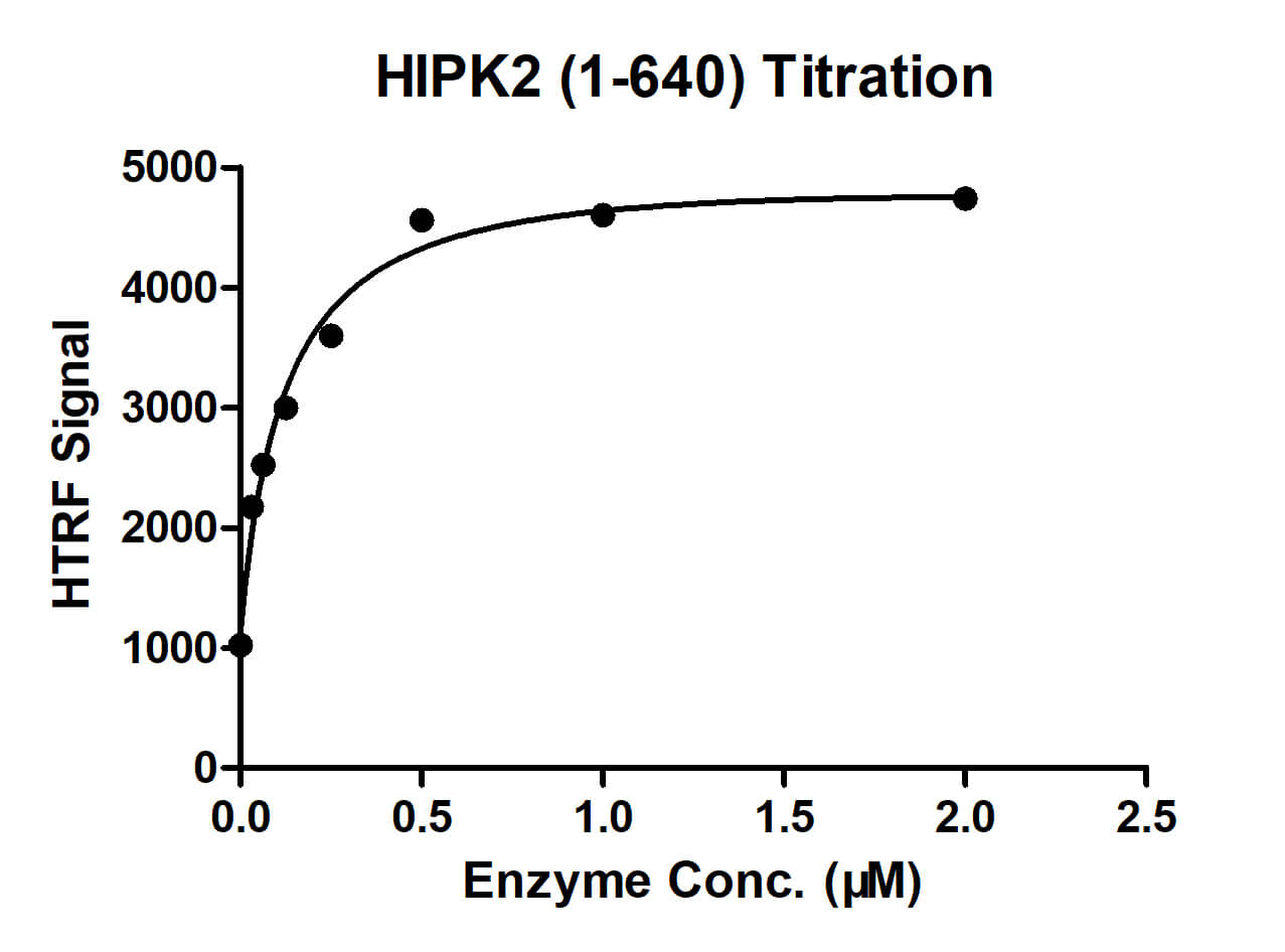 HTRF assay for HIPK2 (1-640) activity