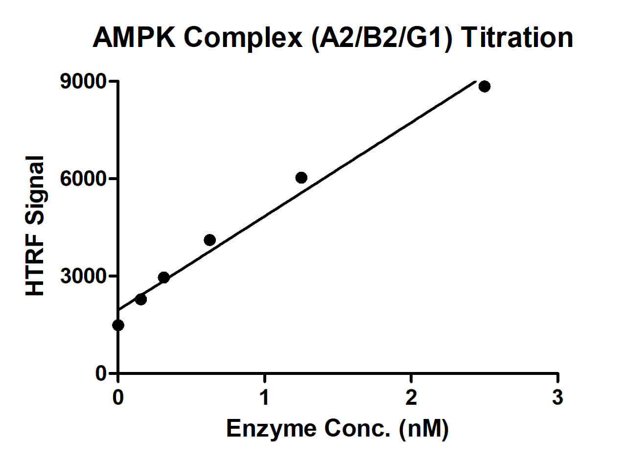 HTRF assay for AMPK Complex (A2+B2+G1) activity