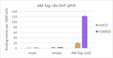 AbFlex<sup>&reg;</sup> AM-Tag antibody (rAb) tested by ChIP.