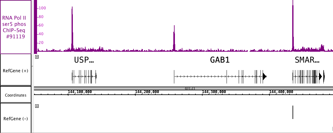AbFlex<sup>&reg;</sup> RNA pol II CTD phospho Ser5 antibody (rAb) tested by ChIP-Seq.