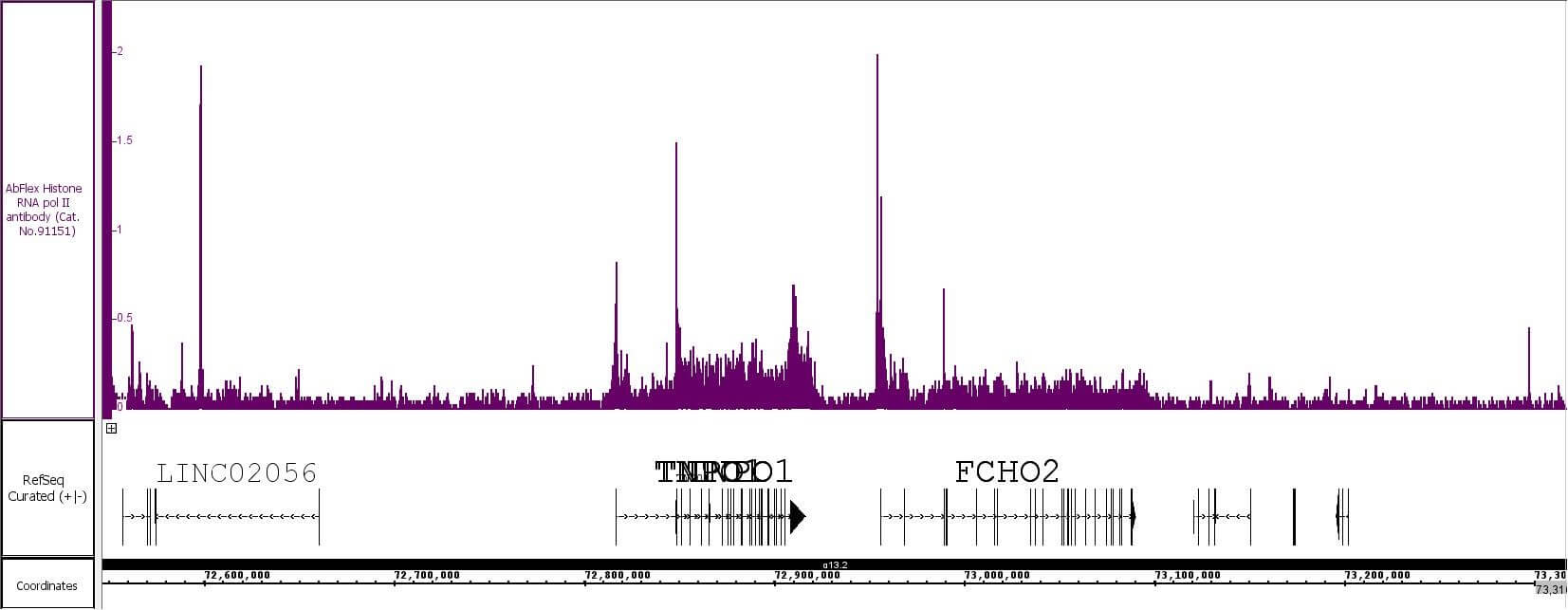 AbFlex<sup>®</sup>AbFlex® RNA Pol ll recombinant antibody (rAb) tested by TIP-ChIP.