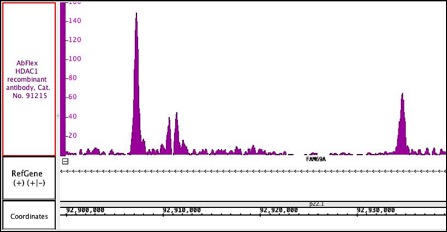 AbFlex<sup>&reg;</sup> HDAC1 antibody (rAb) tested by ChIP-Seq.