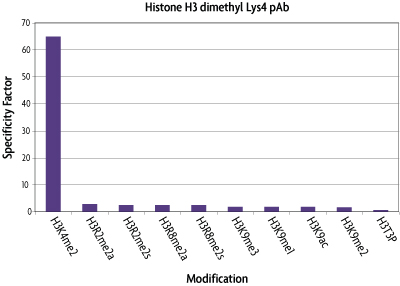 Graphical analysis of histone H3K4me2 antibody array