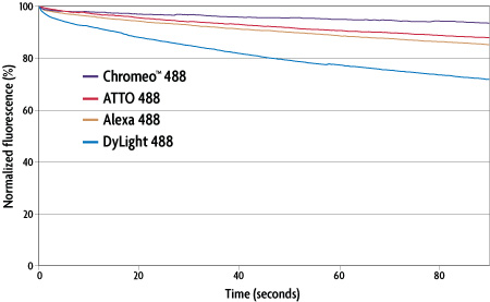 Photobleaching analysis of 488-excitable dyes
