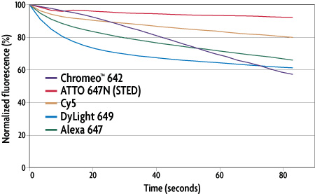 Photobleaching analysis of various dark-red emitting dyes