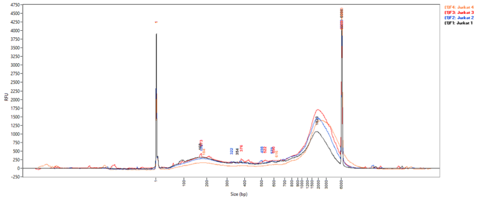 DNA Fragmentation Following Low Cell ChIP-Seq Chromatin Preparation