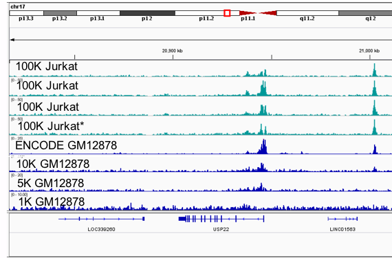 ChIP-Seq Data from Positive Control Jurkat Cells