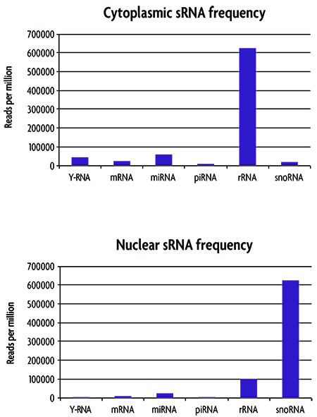 sRNA distribution frequency between cytoplasmic and nuclear fractions