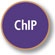 ChIP Validated