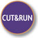 CUT&RUN Validated