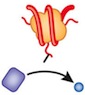 Enzyme eraser