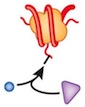 Enzyme writer