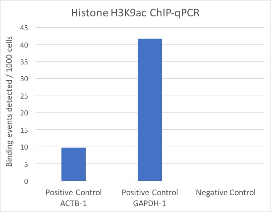 ChIP-IT Express ChIP-Seq data.